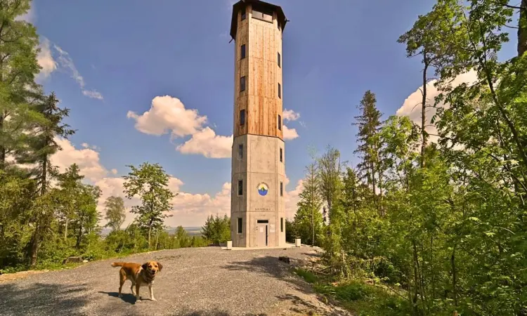 Rozhledna Kalamajka